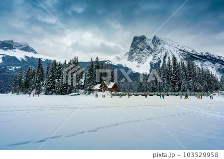 Emerald Lake with wooden lodge glowing in snowy pine forest and rocky mountains on winter at Yoho national park 103529958