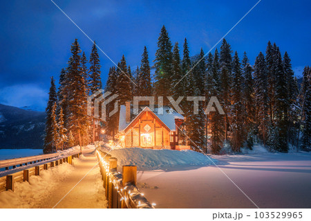 Emerald Lake with wooden lodge glowing in snowy pine forest on winter at Yoho national park 103529965