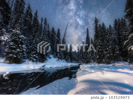 Landscape of milky way in night sky over pine forest with snow covered on lakeside in winter at national park Landscape of milky way in night sky over pine forest with snow covered on lakeside in winter at national park 103529973
