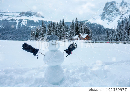 Happy snowman with beanie and glove in wintertime on wooden house village background Happy snowman with beanie and glove in wintertime on wooden house village background 103529977