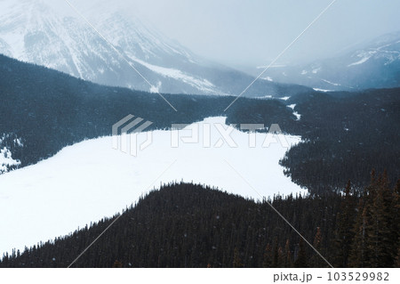 Scenery of Peyto Lake with snow covered in the valley on snowing day at Banff national park 103529982