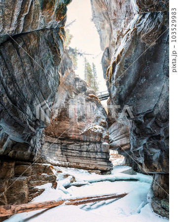 Maligne Canyon with ice in Canadian Rockies on winter at Jasper national park Maligne Canyon with ice in Canadian Rockies on winter at Jasper national park 103529983