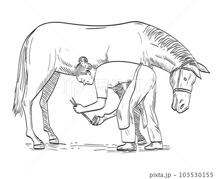Female Farrier Placing Horseshoe on Horse Hoof Side View Comics Style Drawing 103530155