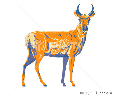 Pronghorn or American Antelope Side View WPA Poster Art 103530181