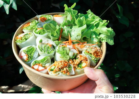 vegetable rolls or noodle rolls or rice noodle rolls or Vietnamese rolls vegetable rolls or noodle rolls or rice noodle rolls or Vietnamese rolls 103530228