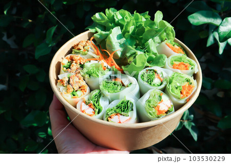 vegetable rolls or noodle rolls or rice noodle rolls or Vietnamese rolls vegetable rolls or noodle rolls or rice noodle rolls or Vietnamese rolls 103530229