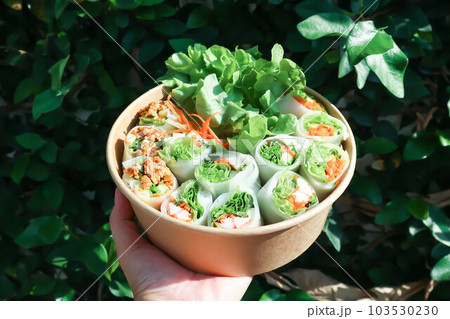 vegetable rolls or noodle rolls or rice noodle rolls or Vietnamese rolls 103530230