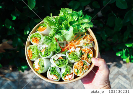 vegetable rolls or noodle rolls or rice noodle rolls or Vietnamese rolls vegetable rolls or noodle rolls or rice noodle rolls or Vietnamese rolls 103530231