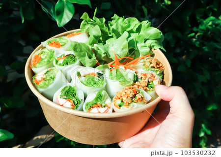 vegetable rolls or noodle rolls or rice noodle rolls or Vietnamese rolls vegetable rolls or noodle rolls or rice noodle rolls or Vietnamese rolls 103530232