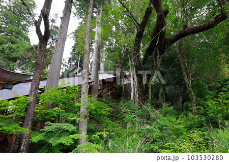 丹生川上神社下社　本殿 103530280