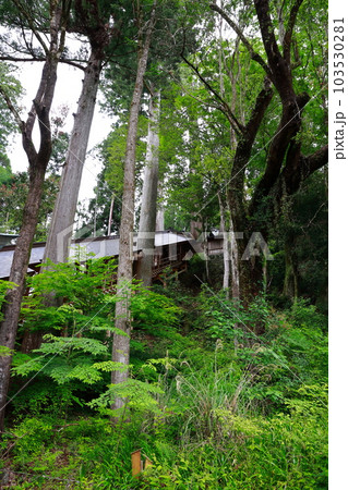 丹生川上神社下社　本殿 103530281