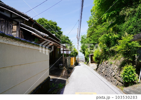 大阪　太子町　竹内街道・横大路(大道)（歴史資料館付近）（初夏） 103530283