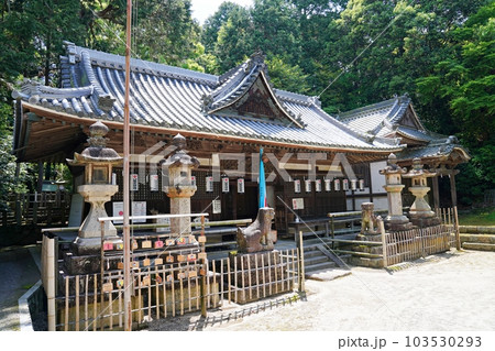 大阪　太子町　科長神社（初夏） 103530293