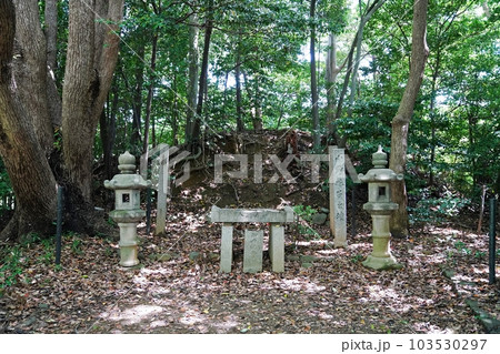 大阪 太子町 小野妹子の墓(初夏) 大阪 太子町 小野妹子の墓(初夏) 103530297