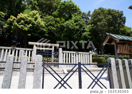 大阪 太子町 推古天皇陵(拝所) (初夏) 大阪 太子町 推古天皇陵(拝所) (初夏) 103530303