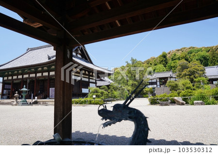 大阪　太子町　叡福寺　手水舎から見た金堂と二天門（初夏） 103530312
