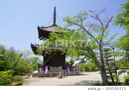 大阪 太子町 叡福寺 宝塔(初夏) 大阪 太子町 叡福寺 宝塔(初夏) 103530313