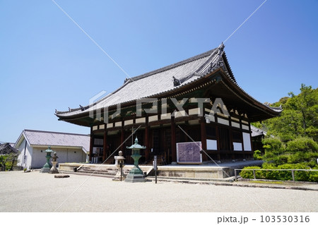 大阪　太子町　叡福寺　金堂と宝蔵（初夏） 103530316