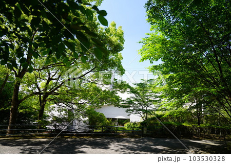大阪 河南町 大阪府立 近つ飛鳥博物館と新緑(西側、初夏) 大阪 河南町 大阪府立 近つ飛鳥博物館と新緑(西側、初夏) 103530328