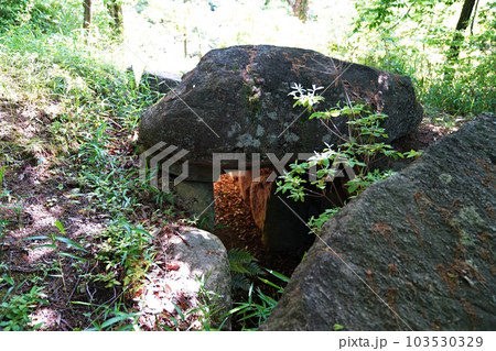 大阪　河南町　近つ飛鳥風土記の丘　一須賀古墳群の古墳（J支群、初夏） 103530329