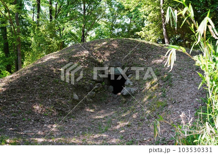 大阪　河南町　近つ飛鳥風土記の丘　一須賀古墳群の古墳（B16号墳、初夏） 103530331