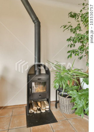 a living room with a wood burning stove and pots on the floor next to a plant that is in front of it 103530757
