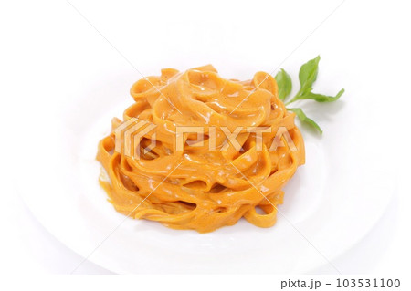 海老風味のトマトクリームソースパスタ　スパゲッティ　明るい背景 103531100