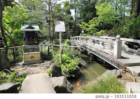 西新井大師　弁天堂のある池 103531858