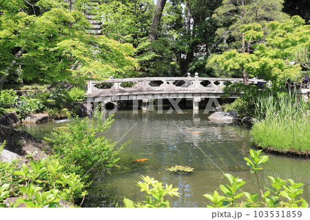 西新井大師　弁天堂のある池 103531859