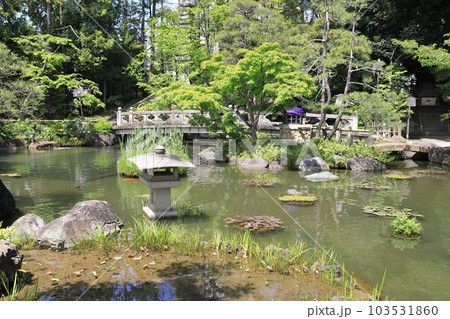 西新井大師　弁天堂のある池 103531860