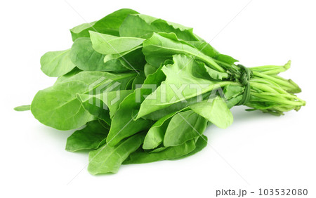 Spinach bundle Spinach bundle 103532080