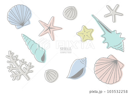 手描き貝殻の線画イラスト素材セットのイラスト素材 [103532258] - PIXTA