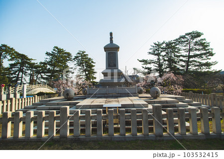 総本山善通寺の涅槃桜　甘い香り 103532415