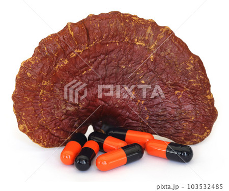 Ganoderma mushroom with capsule 103532485