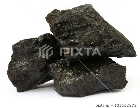 Bituminous coal Bituminous coal 103532875