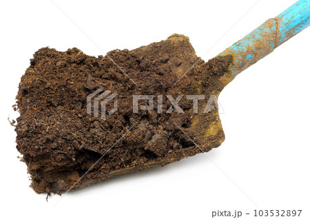 Cow manure on a shovel Cow manure on a shovel 103532897