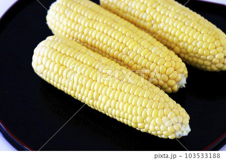 採れたてのトウモロコシ 採れたてのトウモロコシ 103533188
