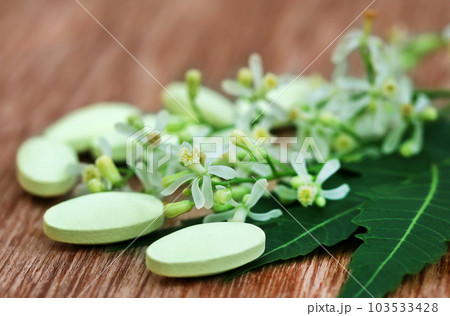 Pills made from medicinal neem 103533428