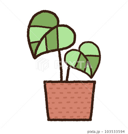 Indoor plants in the pots Indoor plants in the pots 103533594
