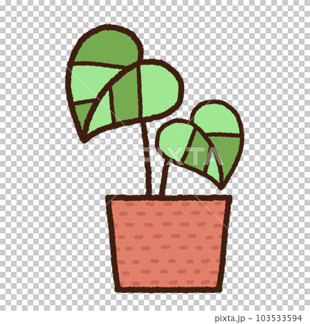 Indoor plants in the pots 103533594