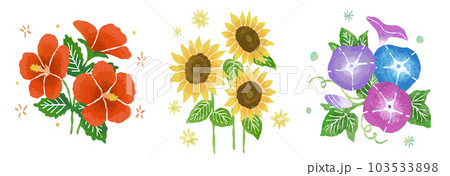 夏の花セット：ハイビスカス、ひまわり、朝顔 103533898