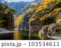 三段峡黒淵の紅葉 103534611