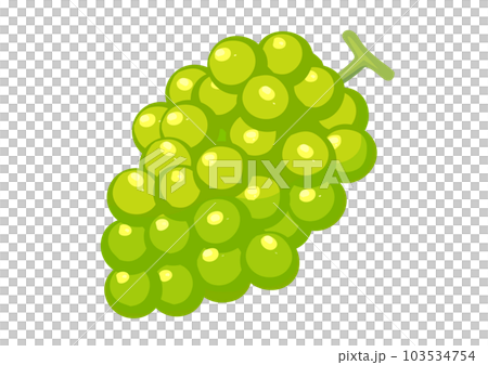 Illustration of Muscat Illustration of Muscat 103534754
