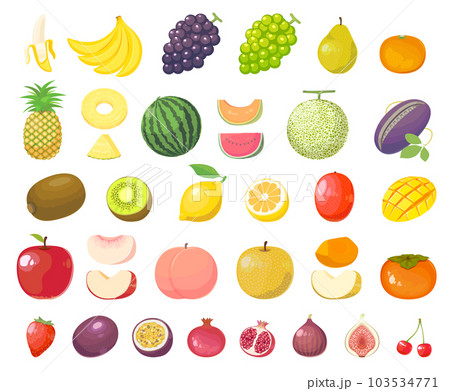 果物のまとめイラスト 果物のまとめイラスト 103534771