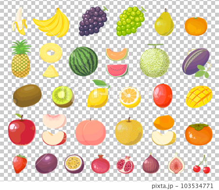 果物のまとめイラスト 果物のまとめイラスト 103534771