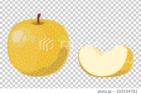 梨のイラスト 梨のイラスト 103534781