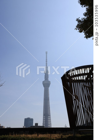 東京都台東区の隅田公園から見た東京スカイツリー 東京都台東区の隅田公園から見た東京スカイツリー 103535996