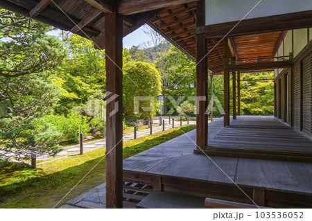 南禅寺天授庵　方丈前庭　新緑の季節（京都市左京区南禅寺福地町） 103536052