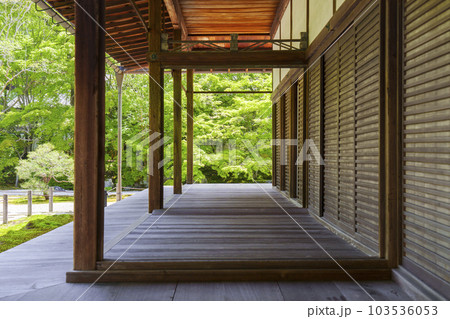 南禅寺天授庵　方丈前庭　新緑の季節（京都市左京区南禅寺福地町） 103536053