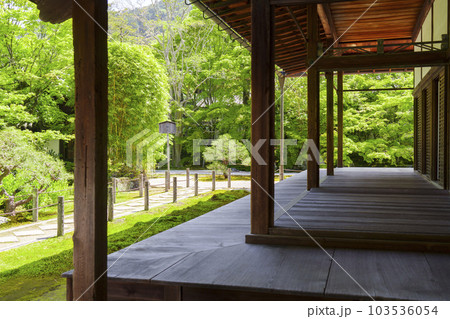 南禅寺天授庵　方丈前庭　新緑の季節（京都市左京区南禅寺福地町） 103536054